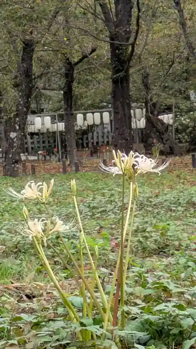 平野神社(京都府)