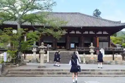 當麻寺の本殿・本堂