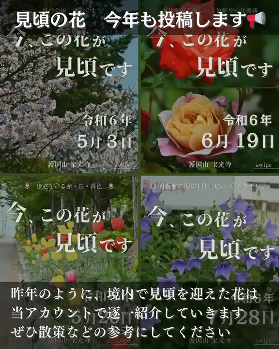 宝光寺(北海道)