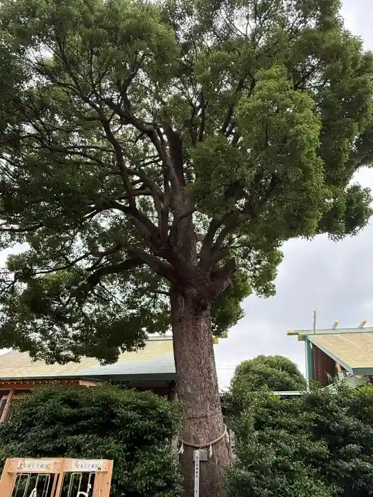 伊勢原大神宮(神奈川県)