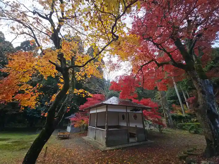 興聖寺(滋賀県)