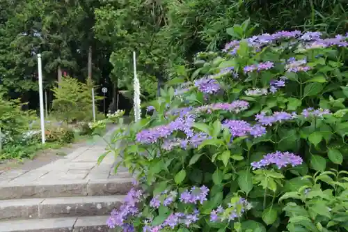 豊景神社の庭園