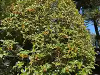 伊勢の国 四天王寺の自然