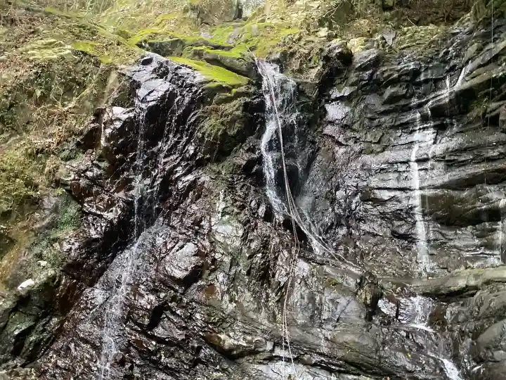 大本山七宝瀧寺の{uncategorized: "未分類", other: "その他", undefined: "問題あり", building: "その他建物", grave: "お墓", sacred_gate: "鳥居", guardian: "狛犬", statue: "像", buddha: "仏像", history: "歴史", nature: "自然", garden: "庭園", animal: "動物", pagoda: "塔", temizu: "手水舎", mountain_gate: "山門・神門", sanctuary: "本殿・本堂", subordinate: "末社・摂社", art: "芸術", scenery: "景色", jizo: "地蔵", ema: "絵馬", goshuin: "御朱印", omikuji: "おみくじ", items: "授与品その他", amulet: "お守り", goshuincho: "御朱印帳", eats: "食事", festival: "お祭り", votive_dance: "神楽", shichigosan: "七五三参", wedding: "結婚式", experience: "体験その他", initially: "初詣", around: "周辺", anti_infection: "感染症対策"}