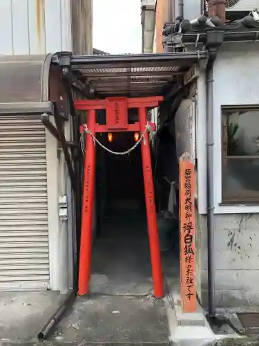 若宮稲荷大明神(浮白狐様)(大分県)