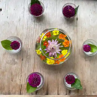 二尊院(京都府)