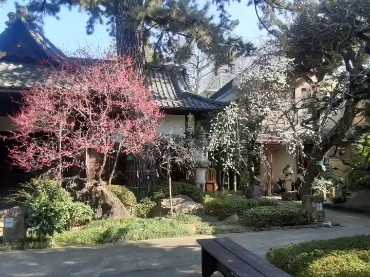 玄国寺(東京都)