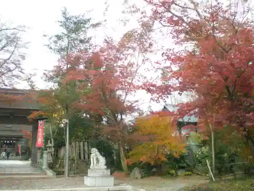 中山神社の建物その他