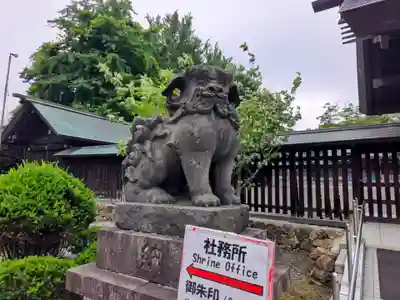 札幌護國神社の狛犬