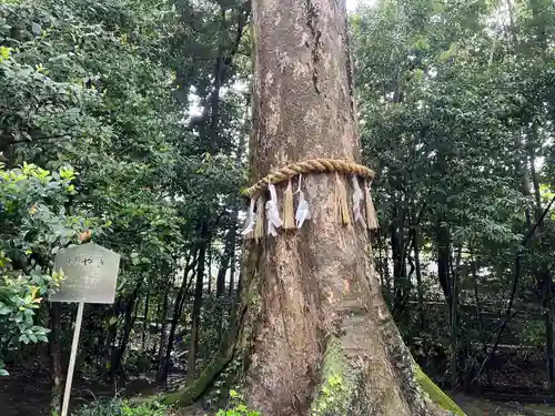 宇治上神社(京都府)