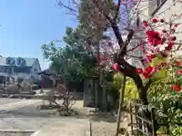 總神社(京都府)