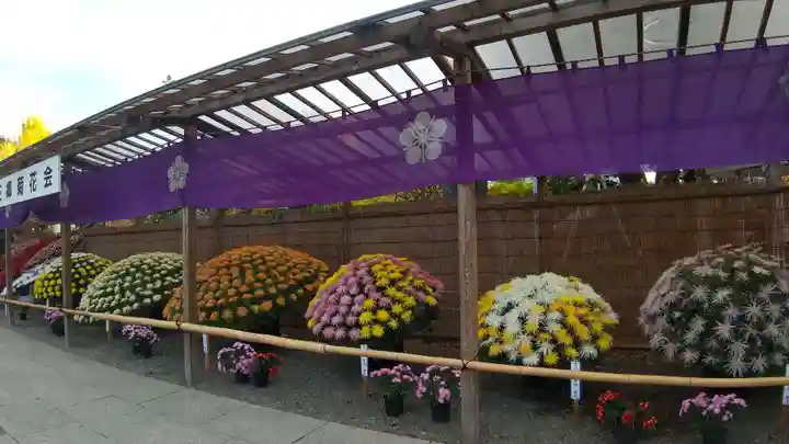 亀戸天神社(東京都)
