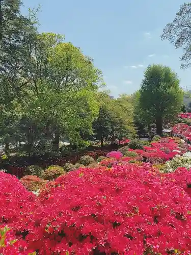 根津神社の庭園