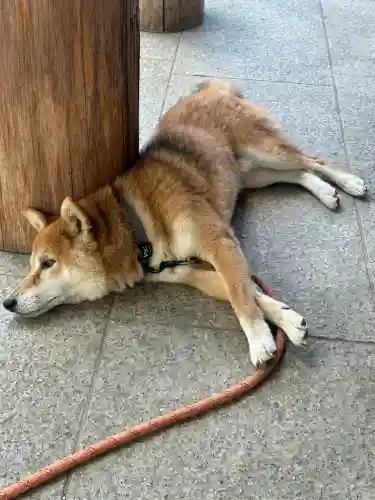 感通寺(東京都)