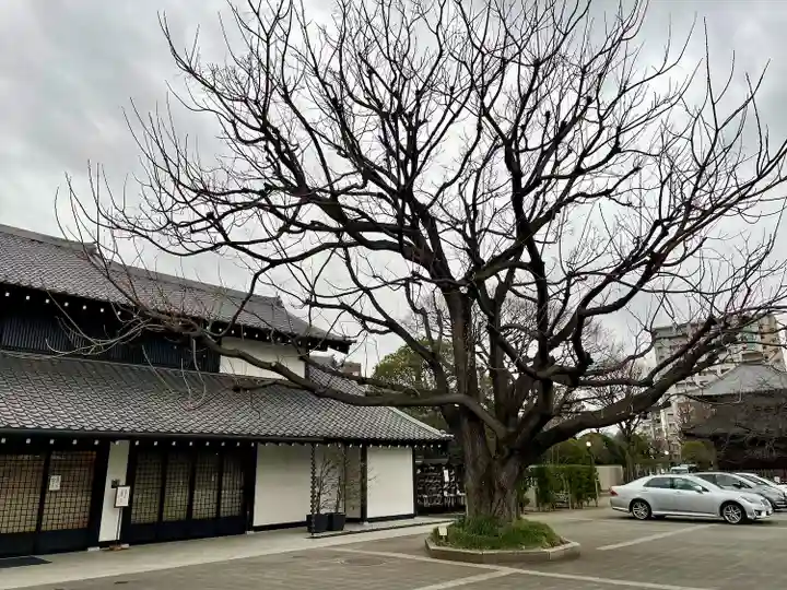吉祥寺(東京都)