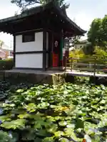 喜光寺の本殿・本堂