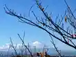 片瀬諏訪神社(神奈川県)