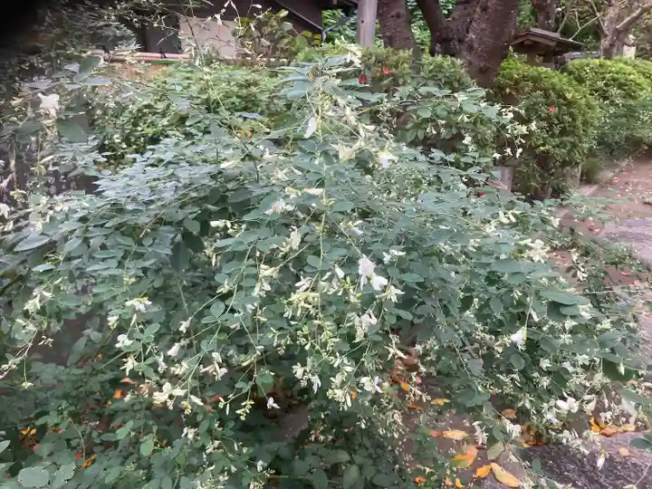 宝戒寺(神奈川県)
