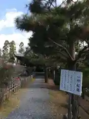 清凉寺の自然