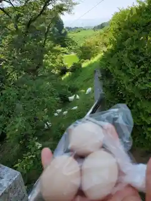 高屋敷稲荷神社(福島県)