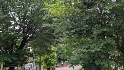 上川神社頓宮の自然