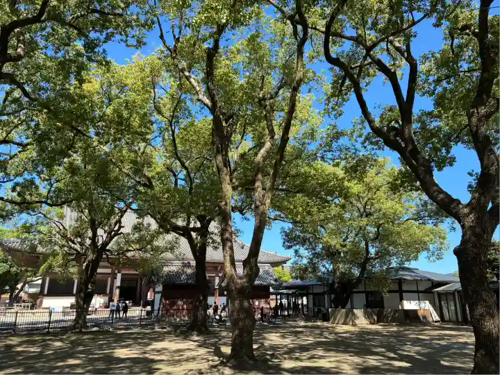 東寺(教王護国寺)(京都府)