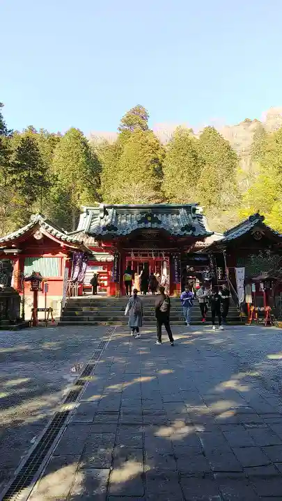 箱根神社の本殿・本堂