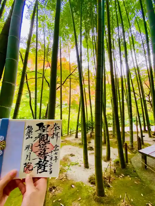 明月院(神奈川県)