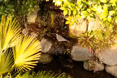 武蔵一宮氷川神社(埼玉県)
