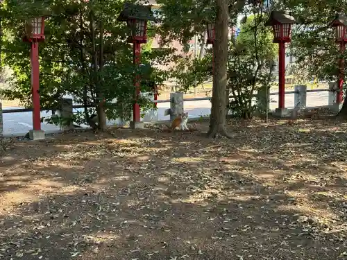 一瓶塚稲荷神社(栃木県)