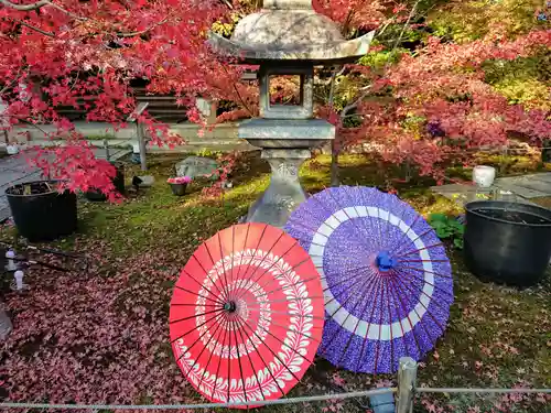 勝林寺の庭園