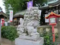 川越八幡宮の狛犬