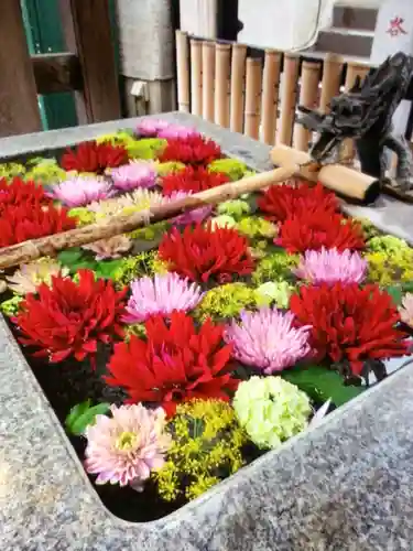 高円寺氷川神社(東京都)