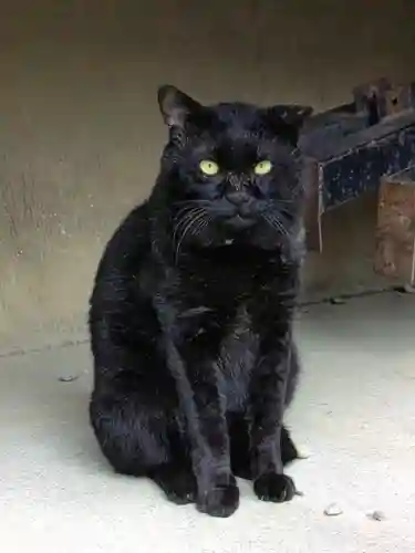 本郷氷川神社(東京都)
