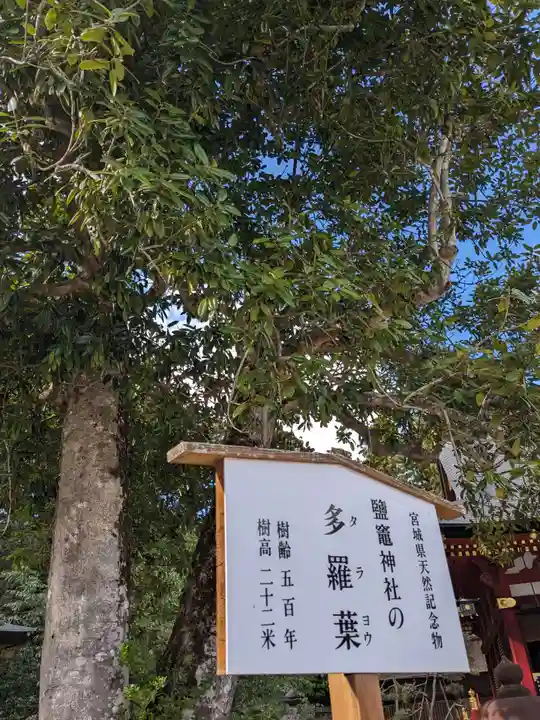 志波彦神社・鹽竈神社(宮城県)