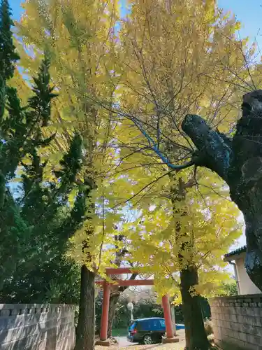 雷水神社の鳥居