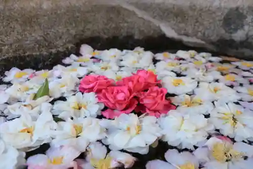 田村神社の手水