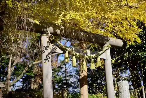 葛原岡神社の鳥居