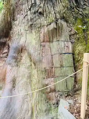 伊勢神宮内宮（皇大神宮）(三重県)