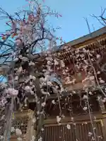 湯島天満宮(東京都)