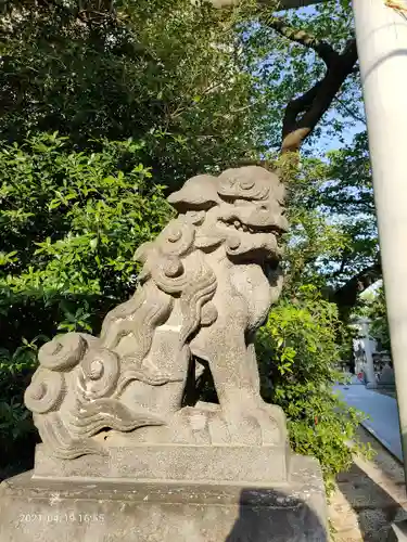 松戸神社の狛犬