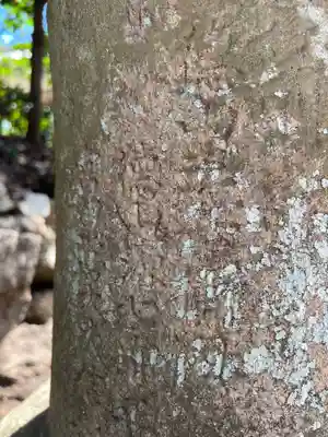 手力雄神社(岐阜県)