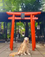 愛宕神社の動物