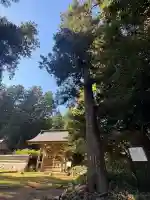 粟鹿神社(兵庫県)