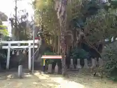 息栖神社の鳥居