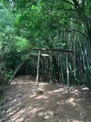 浅間神社の鳥居