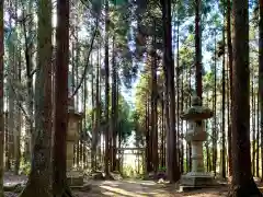 箱根神社の建物その他