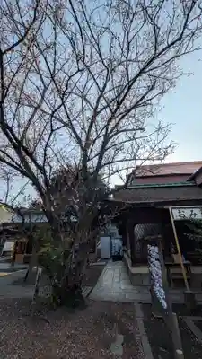 下御霊神社(京都府)