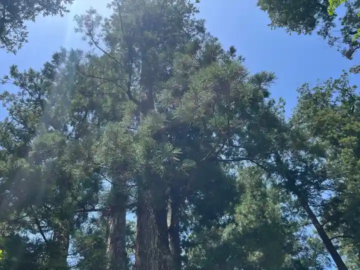 伊勢神宮内宮(皇大神宮)(三重県)