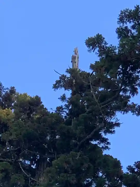村山浅間神社の自然